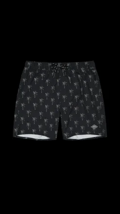 Bernardou Shorts