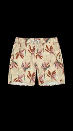 Fervis Shorts