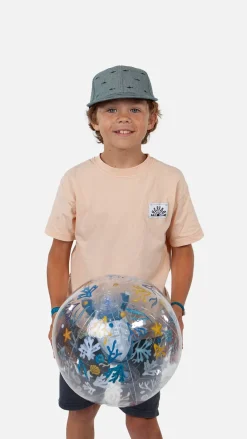 Pauk Cap