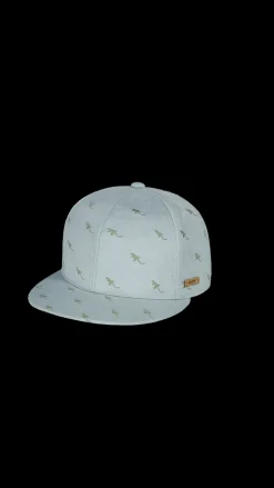 Pauk Cap