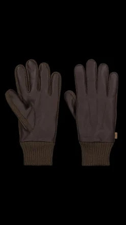 Taaron Gloves